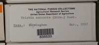 Image Associated With the Occurence
